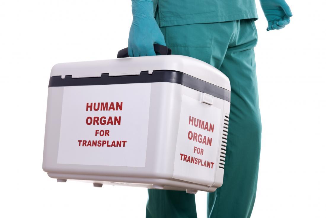 De reis van donatie tot transplantatie