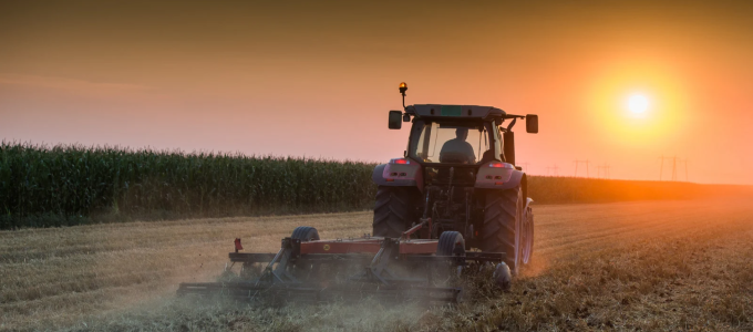 Short Food Supply Chain in Brabant: personal, sustainable but not digital