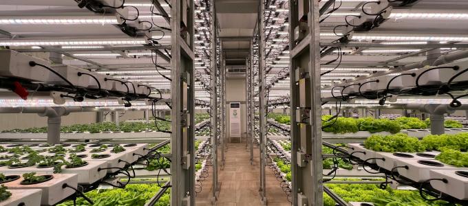 Logistics conflicts with green